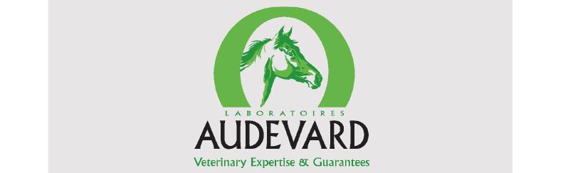 Bericht Paard IOD-groepen opgelet: haal gratis expertise van Audevard in huis bekijken